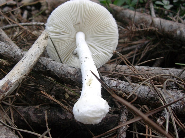 869 Dicembre vecchio ritrovamento